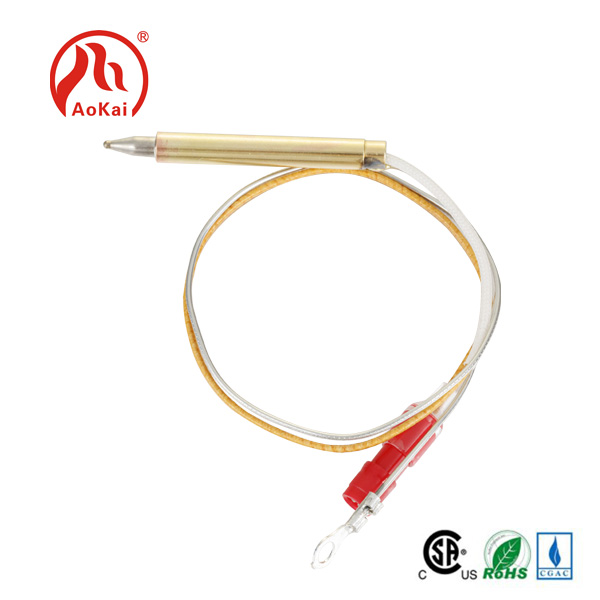 熱電偶烹飪：一種現代的精確烹飪方法