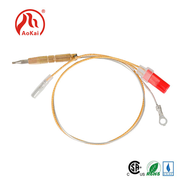 為什麼熱電偶烹飪至關重要？